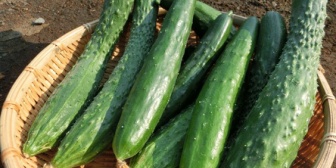 嫁が「わがまま言ってもいい？」って聞いてきたから聞いたら…