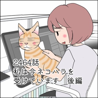 あんこと麦と