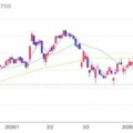 MV東海：商品選択 2026年2月権利(8198)・お米、お茶、お肉、お酒、しぐれ煮、株主優待券から選択