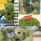 『🌿いよいよ開催間近！！🌿 「栗原苔フェスティバル2025 ～栗原市誕生20周年記念～」＆「くりはらマルシェ」✨』の画像