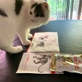 ロイヤルカナンと我が家のメンズトリオ