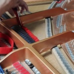 ちさ音楽教室from尼崎市南武庫之荘