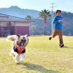 保護犬☆一星14年間の物語