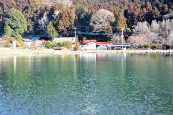 けーすけの管釣り日記 レイクウッドリゾート