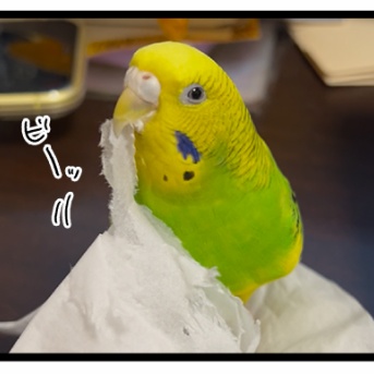 【実カチョあり】カチョさんが最近お熱なこと