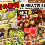 茨城県笠間市のかき氷屋 雪みるくのblog
