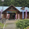 駿府城公園 (*ΦωΦ*)にゃー