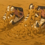 汚れた靴