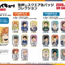 アニメ＆漫画 グッズ情報 - ハイキュー