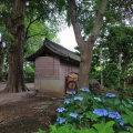 古い看板が懐かしい...