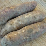 内面からキレイになる美容情報まとめ