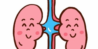 親に腎臓提供しようかと悩んでるんだけど、夫がすごく反対してて…