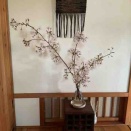 スパイラルマカロニ