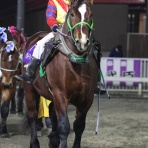 クロミちゃんの競馬日記