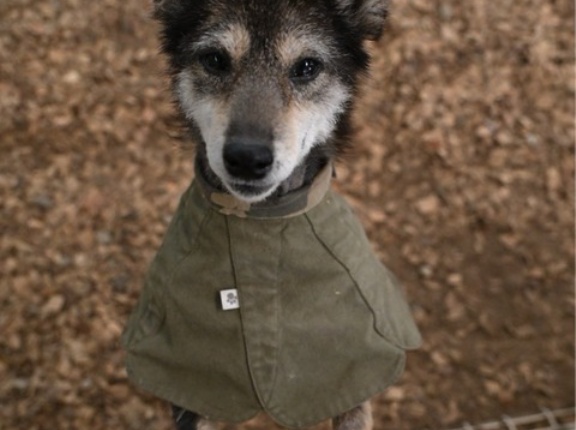 かおりんちゃん、変身中💕💕👌