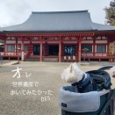 犬連れで行ける世界遺産・毛越寺｜冬の平泉と水属性の話