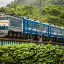6月の川根路　雨の中の電気機関車