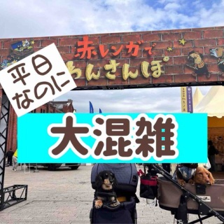 メルロコ一家の横須賀ストーリー