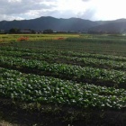 『北嵯峨２０２１年秋分』の画像