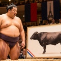 琴櫻の副賞は和牛一頭分！パリ公演総合優勝で贈られた“規格外”の賞品に会場沸く