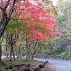 �ع��վ���2019(10��31��)������ߤ��饤��٤β���