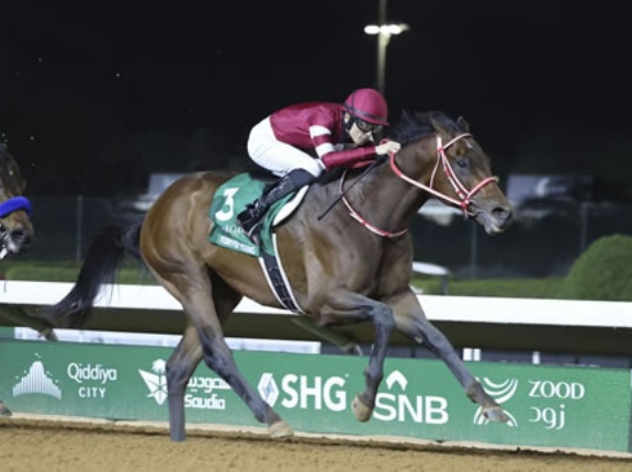 割とガチでフォーエバーヤングはアメリカで種牡馬になりそう