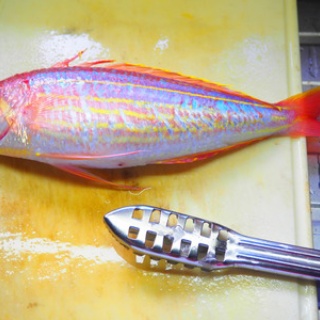 ログハウスに住み　料理・野菜・家具作り・・・