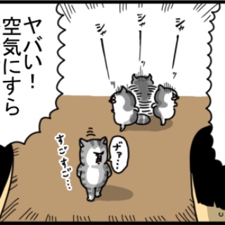 まめきちまめこニートの日常