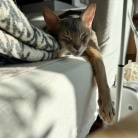 寝相がひどい、ひどすぎる(๑¯◡¯๑)