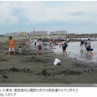 牡蠣を使って『東京の海水浴場』を【半世紀】ぶりに復活させることに成功