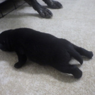 自転車ときどき世界1周