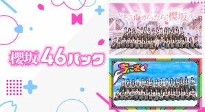 【櫻坂46】今後どうなる！？レミノに新たな動きが...のサムネイル