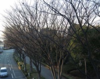 『今年の締めくくり……』の画像