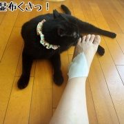シュウさまはスイカ。