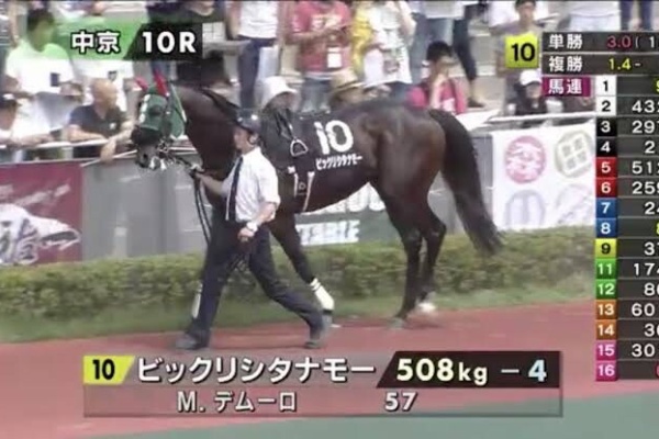 ウマ娘 ネタ馬の元祖はpotooooooooでいいよな パカ娘速報 ウマ娘まとめブログ