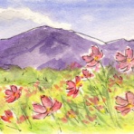 やのすけ微美術館