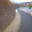 どこか人生に似て・・・