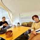 コスモスが咲き乱れる！の巻