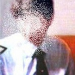 ベニクラゲの研究を追う
