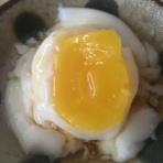 南の島の自堕落な生活