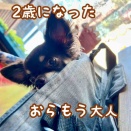 はなちゃん誕生日のお祝いランチ
