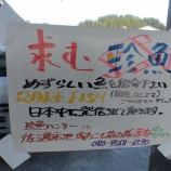 『【赤泊】佐渡おさかな・あれこれ その12』の画像