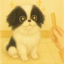 寝る前のカミカミ