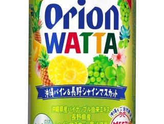 【数量限定】MEET！WATTA 第2弾「WATTA 沖縄パイン＆長野シャインマスカット」
