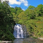 知床と八重山の風景