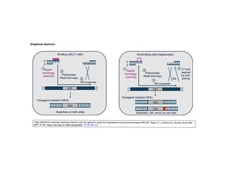 Precision BioSciences社からARCUS®ヌークレアーゼが柔軟かつ効率的な遺伝子挿入システムとする査読論文が発表された