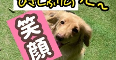 モコちゃん久しぶりの外出。回復速度は爬虫類並み。