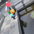 え〜💦なんで〜😭