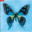 【森本慎太郎】間宮に気に入られたい森本を間宮が救うラジオ