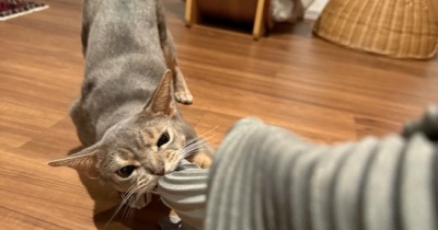 着替えは慎重に…